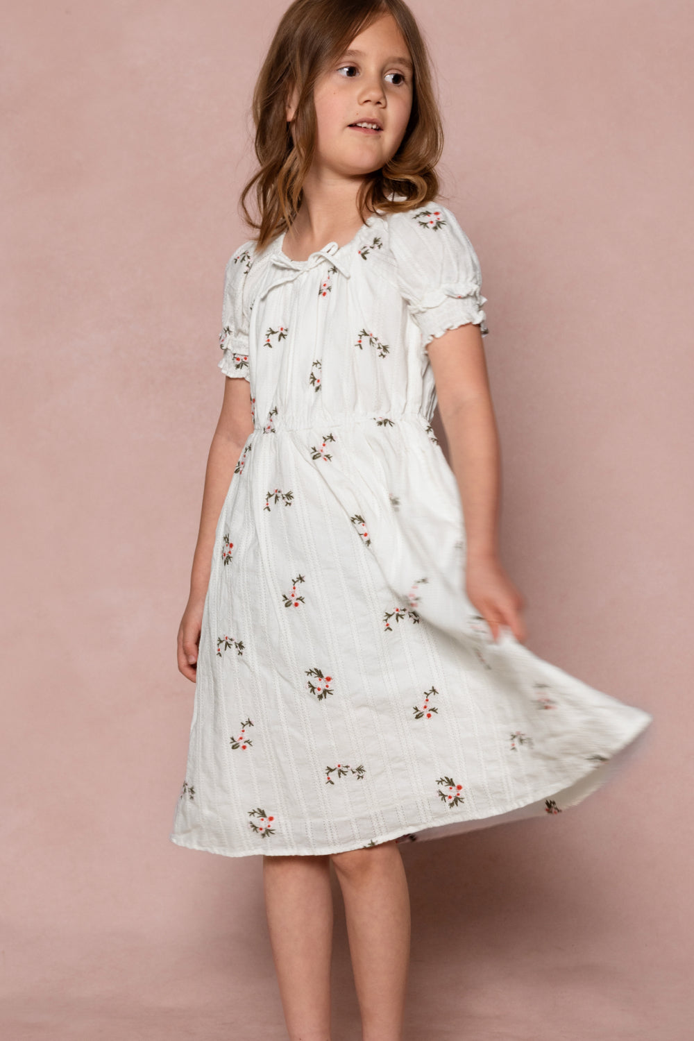 knee length dresses for ladies Mini Jessie Dress in Ditsy Embroidery – Ivy City Co