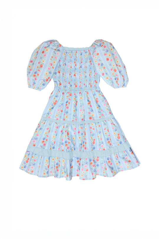 Mini Roselyn Dress in Blue Linear Floral Print