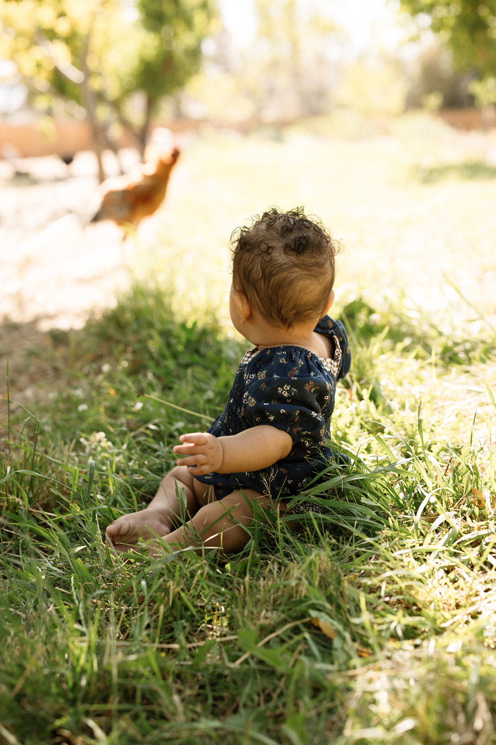 An infant sits on grass in a sunlit outdoor setting, wearing the Ivy City Co Baby Roselyn Romper in Midnight Lovelorn Ditsy—a blue patterned cotton romper with a smocked bodice—and gazes toward a passing chicken.