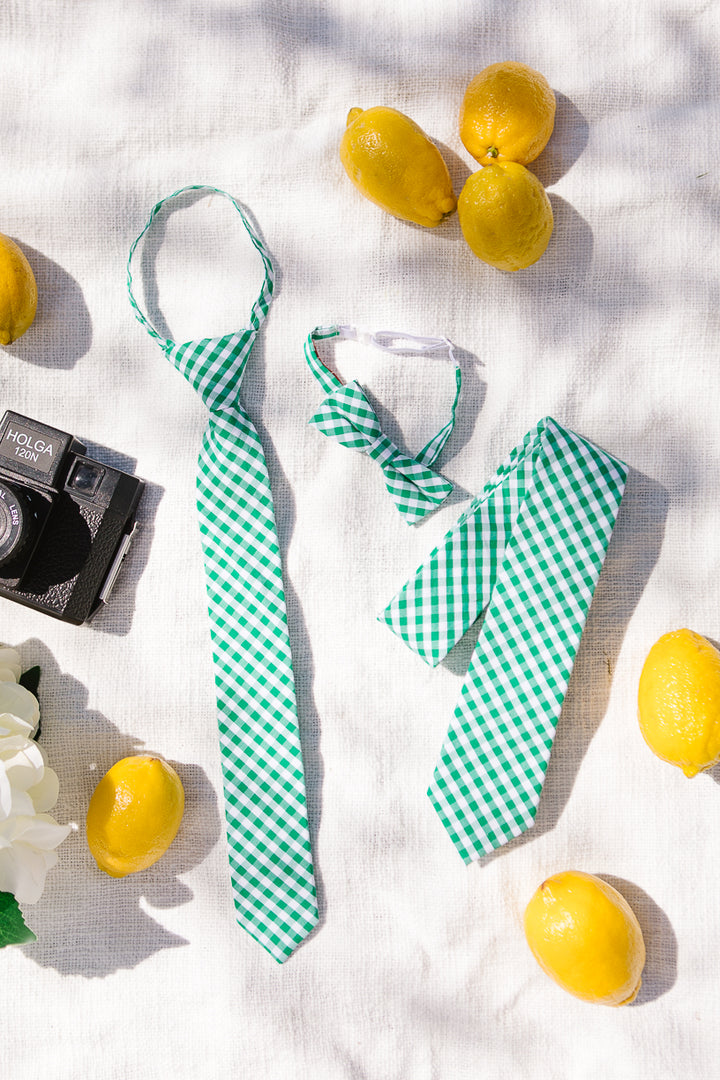 Boys Max Tie in Green Gingham