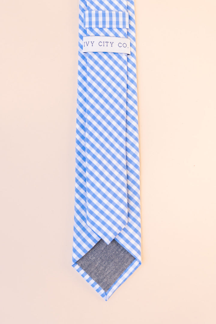 Blakely Men's Tie in Blue Gingham