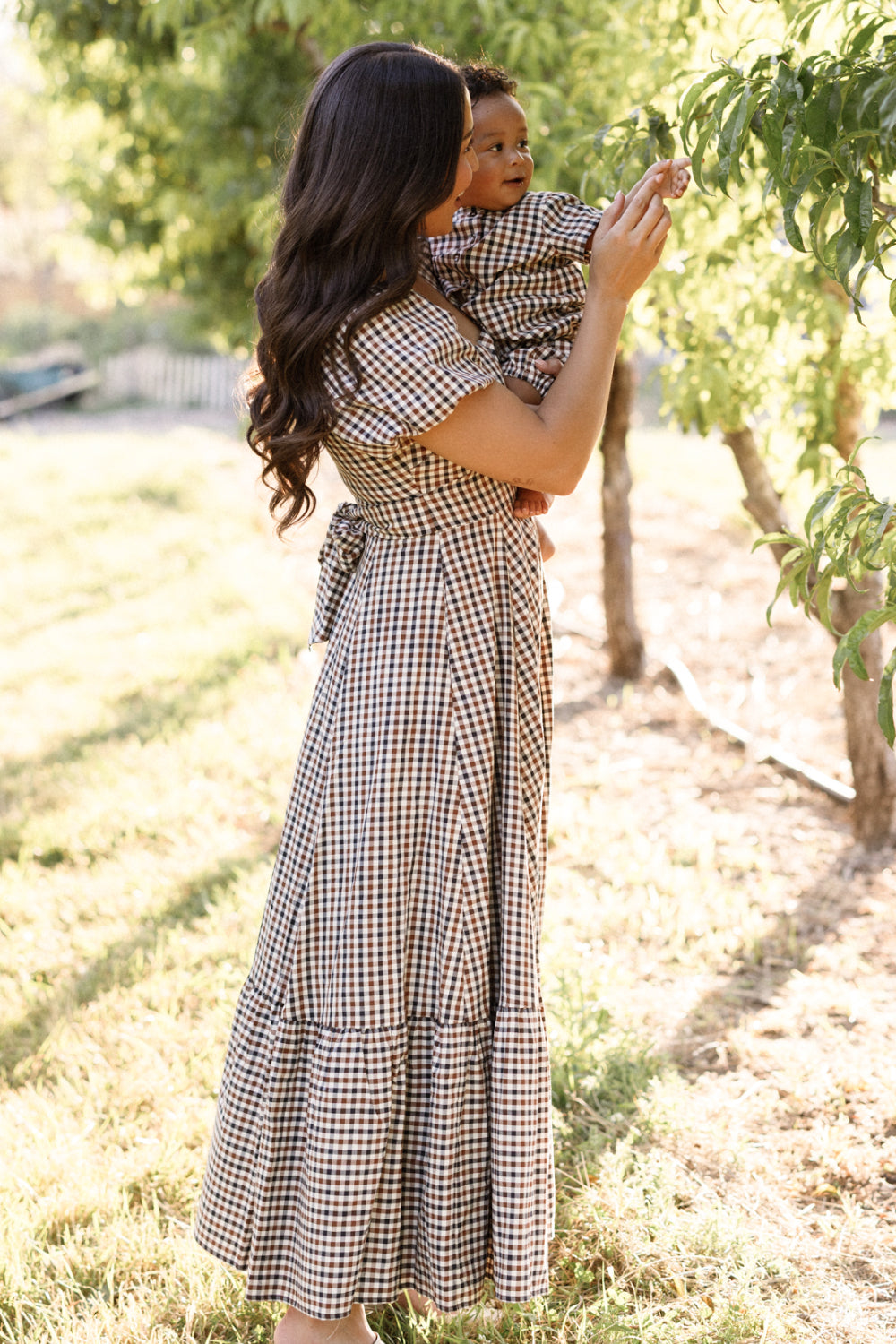 Connie Short Sleeve Dress in Chestnut Gingham – Ivy City Co