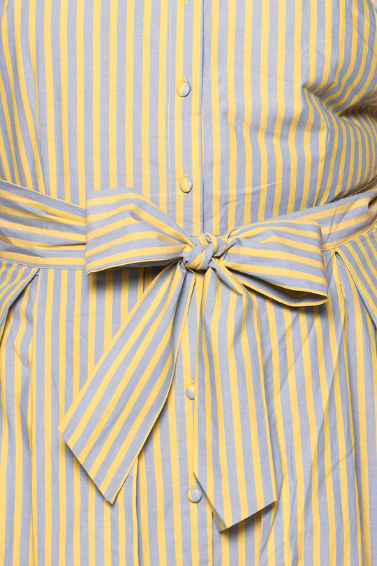 Glen Dress in Green Stripe