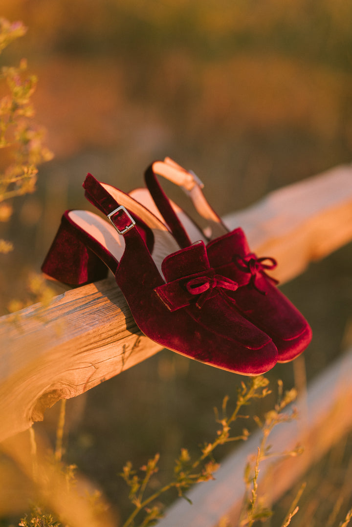 Ivy Bow Loafer in Wine