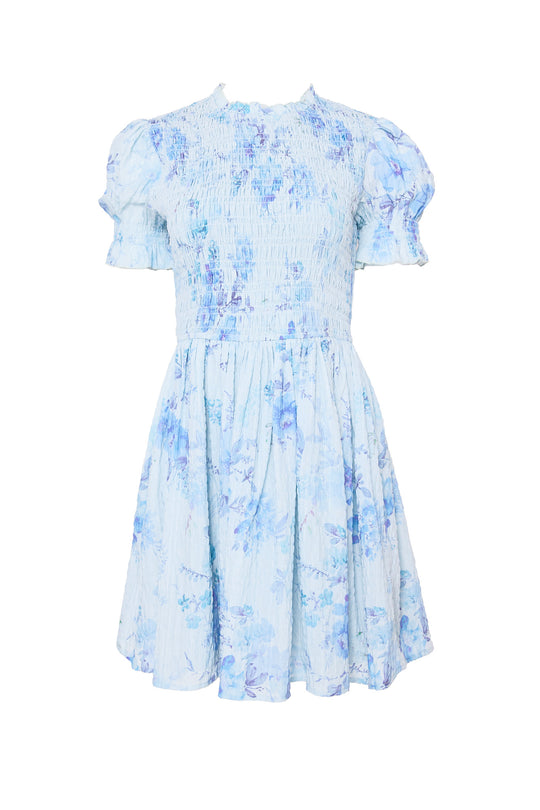 blue floral dress against a white background