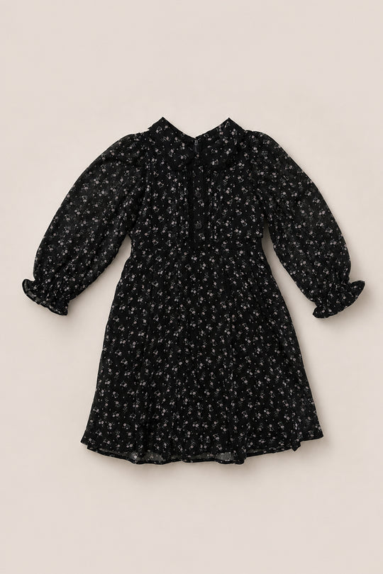 Laid flat on a light background, the Mini Sophia Long Sleeve Dress in Noir Ditsy Chiffon by Ivy City Co features long sleeves, a delicate small floral print on black chiffon, a Peter Pan collar, button details on the chest, and gathered sleeves and hem—perfectly capturing its charming appeal.