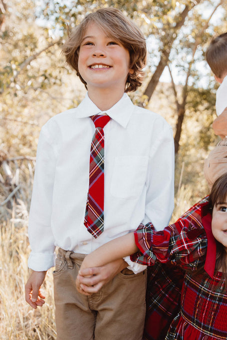 Ties in Holiday Plaid