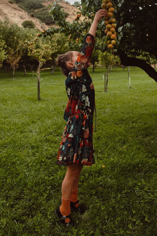 A girl wearing the Ivy City Co Mini Imogen Dress in Moody Floral stands on grass, reaching up to pick apricots from a tree in an orchard.