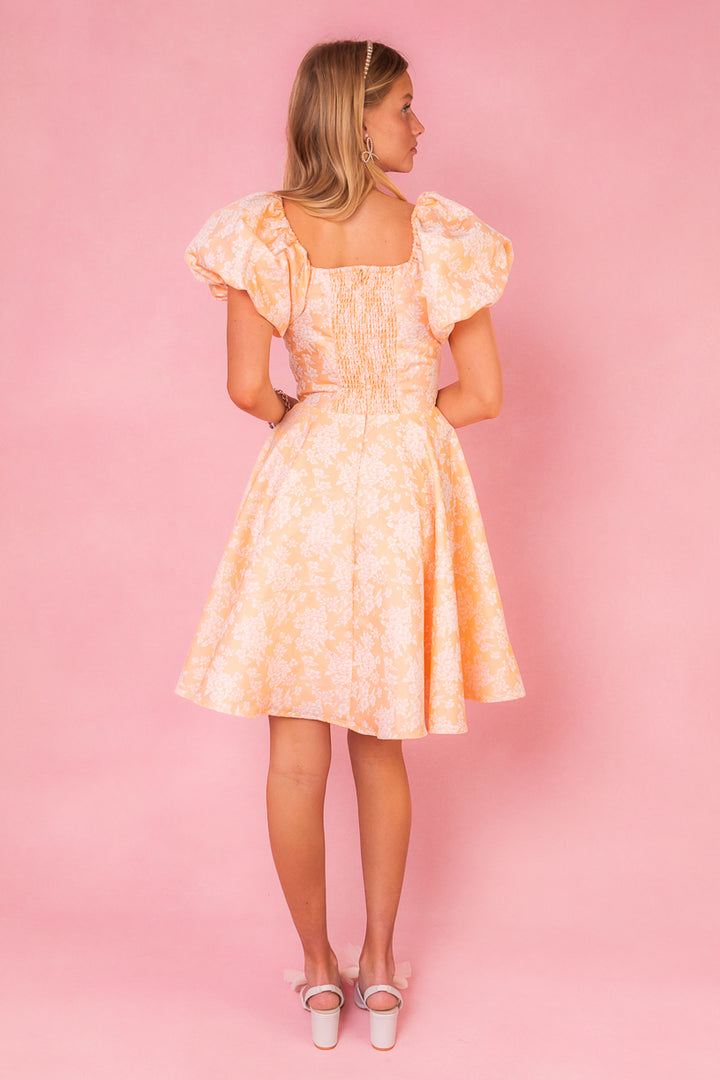 Ivanna Dress in Peach