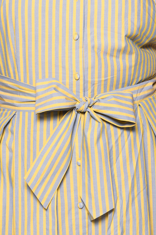 Close-up of the Glen Dress in Green Stripe by Ivy City Co, featuring green and white vertical stripes, white buttons, and a matching striped belt tied in a bow at the waist.