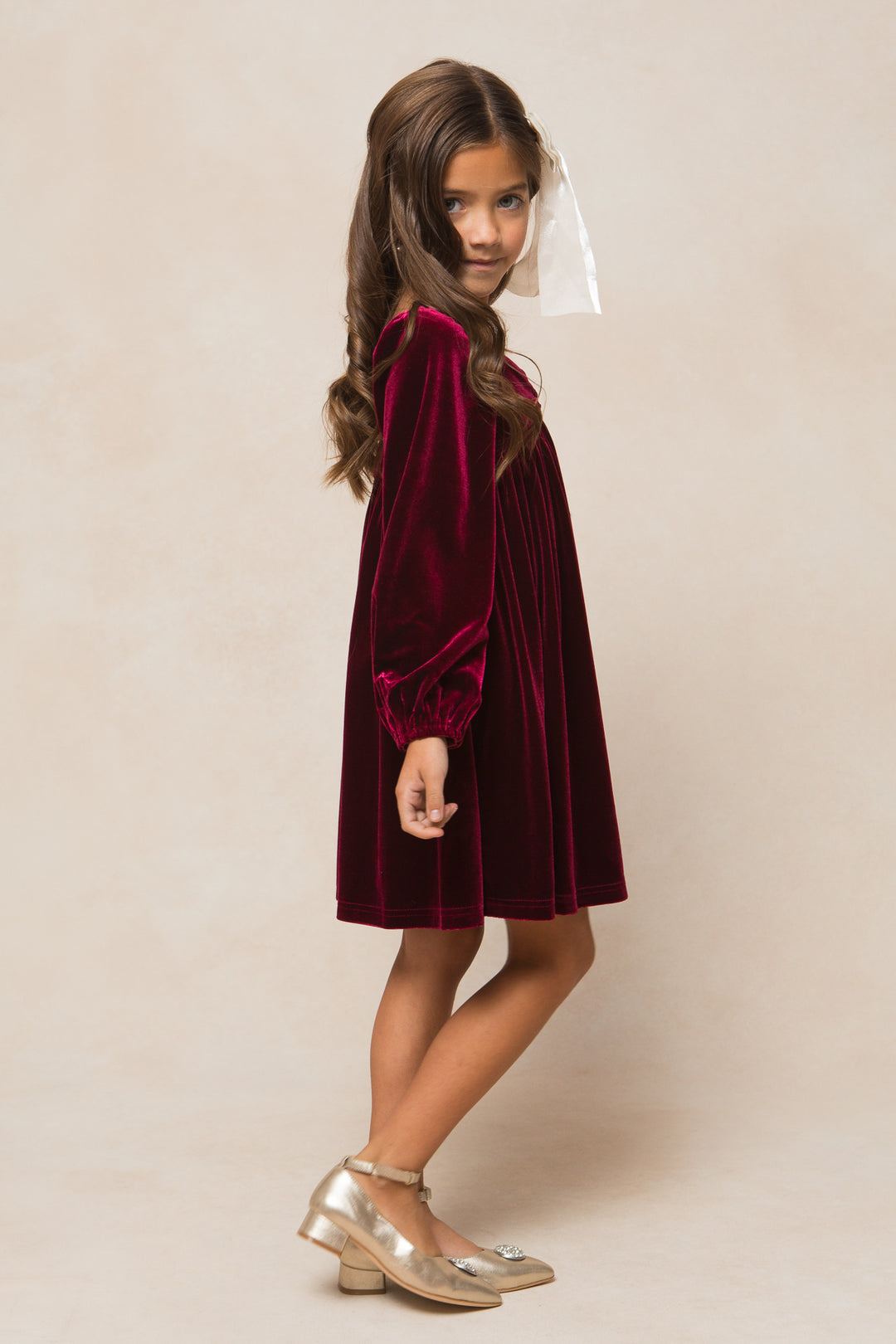 Mini Jewel Dress in Wine