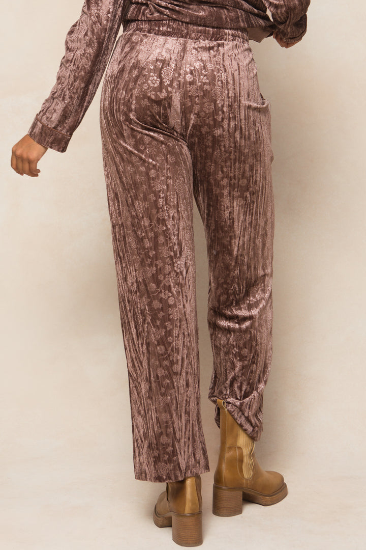 Kali Velvet Pants in Plum