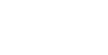 Ivy City Co