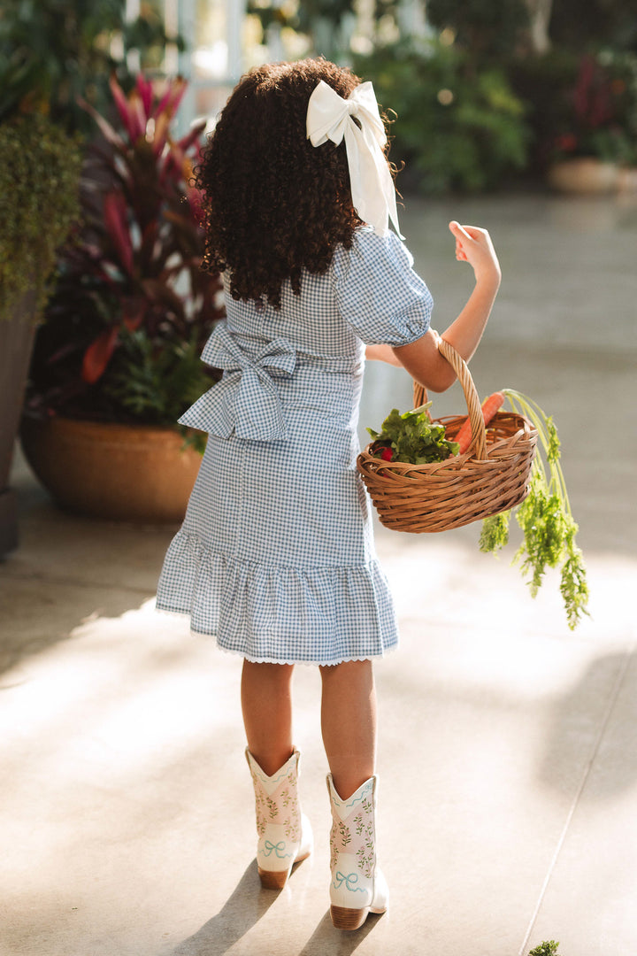 Mini Hannah Dress in Blue Gingham