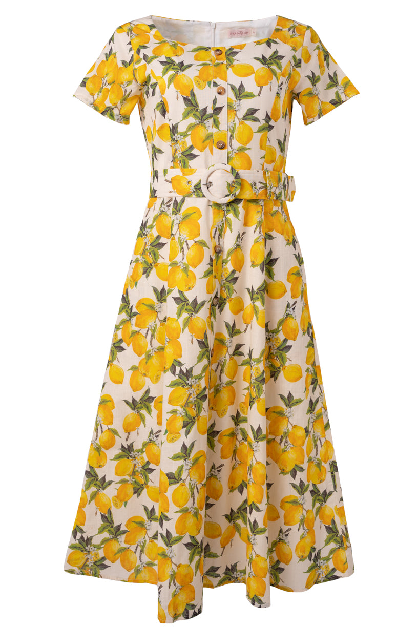 Meredith Maxi Dress in Playful Lemon Print Ivy City Co