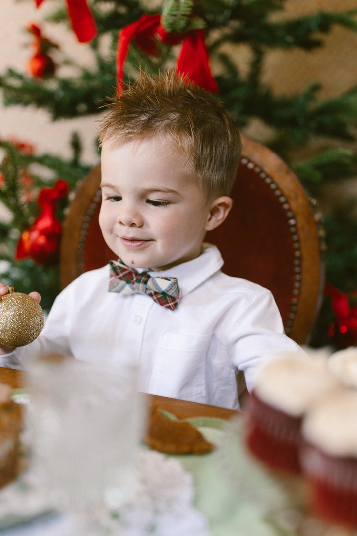 Ties in Merry Holiday Plaid