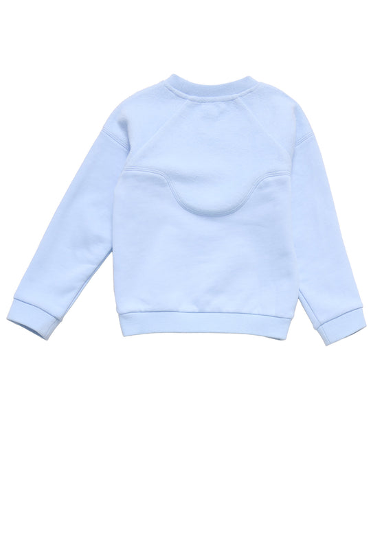 the back of blue sweatshirt against a white background