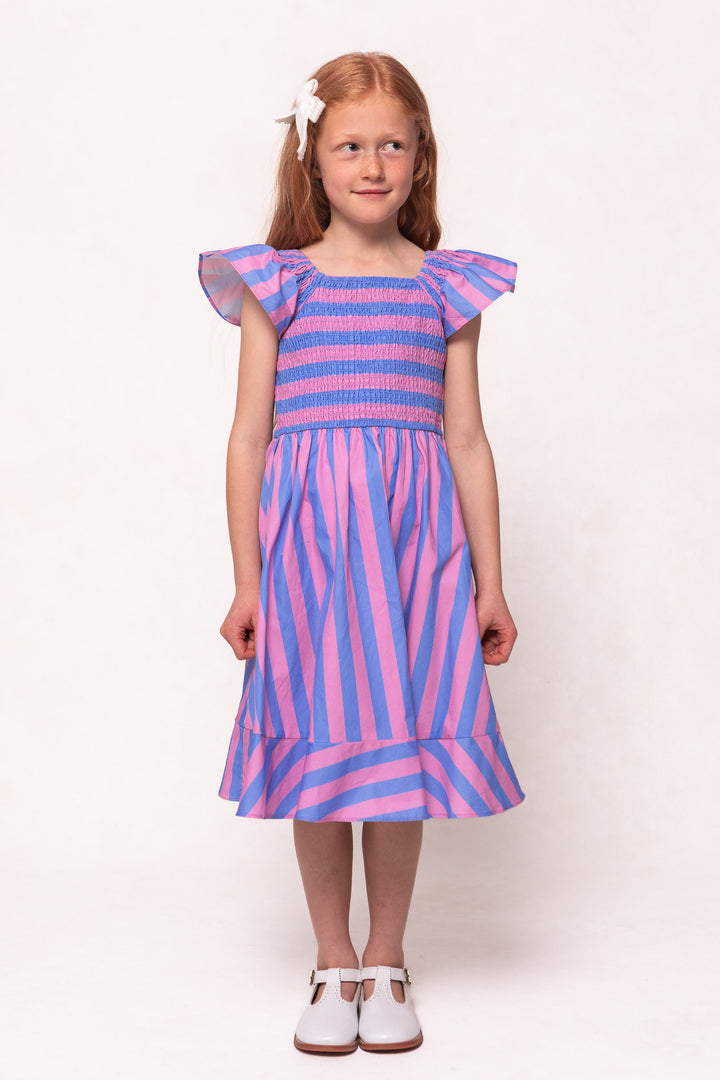 Mini Collins Dress in Pink & Blue Stripe