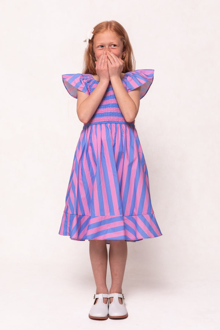 Mini Collins Dress in Pink & Blue Stripe