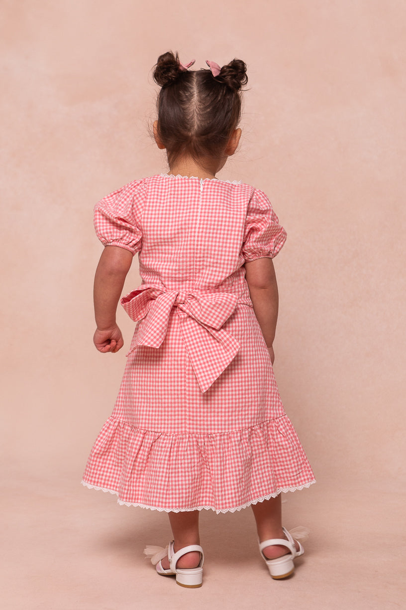 Mini Hannah Dress in Pink Gingham