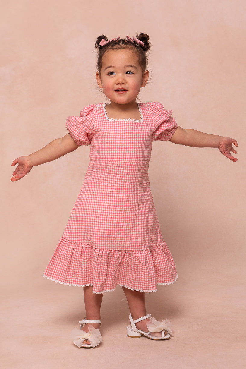 Mini Hannah Dress in Pink Gingham