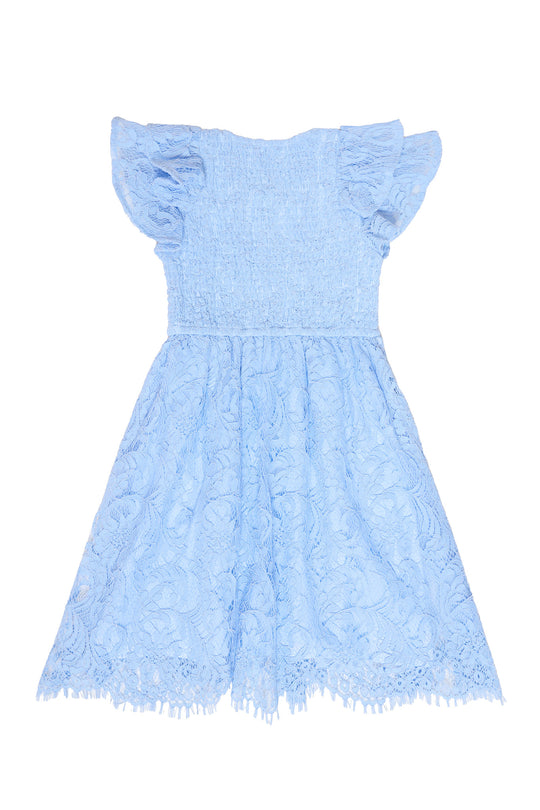 the back of a blue lace dress against a white background