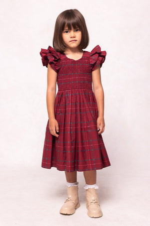 Young girl wearing a red plaid dress with ruffled sleeves on a white background