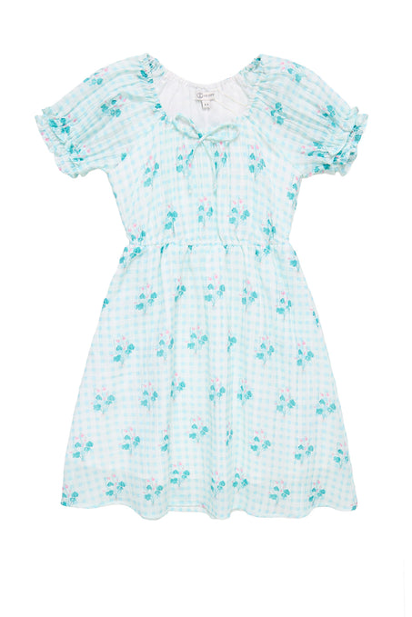 the front of a blue floral dress against a white background