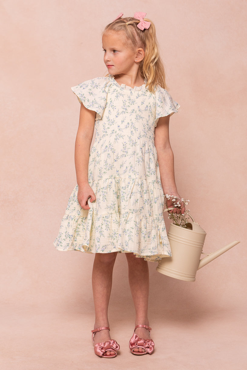 Mini Jovie Dress in Blue Floral