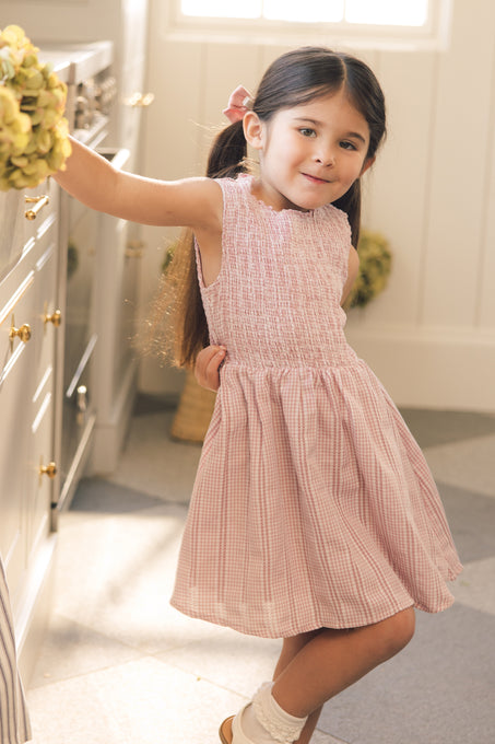 Mini Karla Dress in Pink Striped Gingham