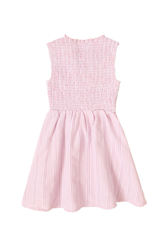 Mini Karla Dress in Pink Striped Gingham