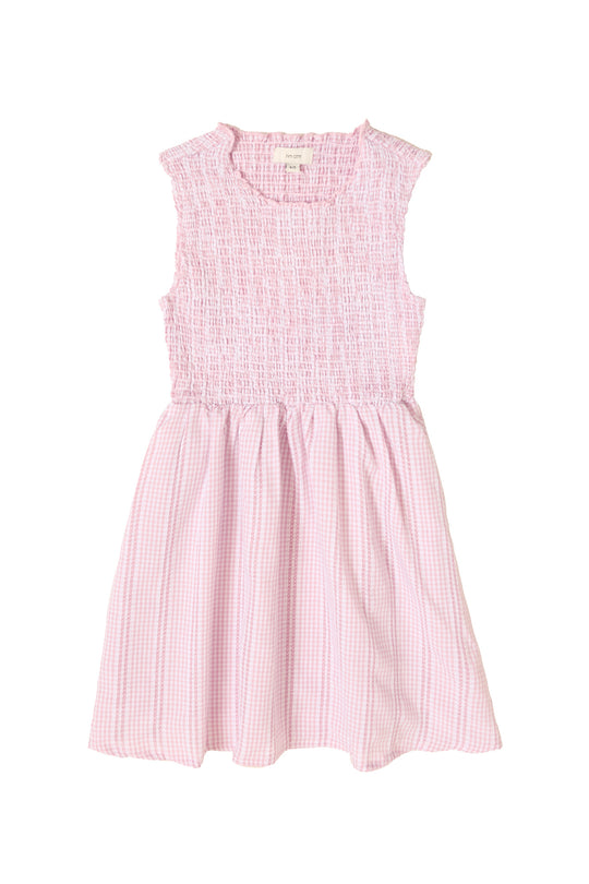 Mini Karla Dress in Pink Striped Gingham
