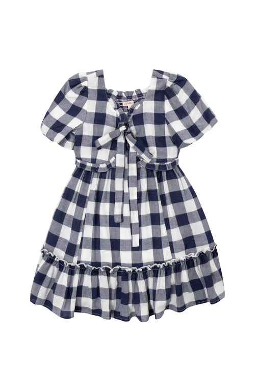 Mini Picnic Dress in Navy Gingham