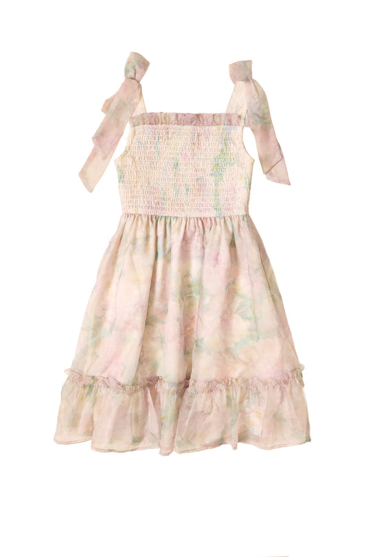 Mini Rhiannon Dress in Painted Bloom