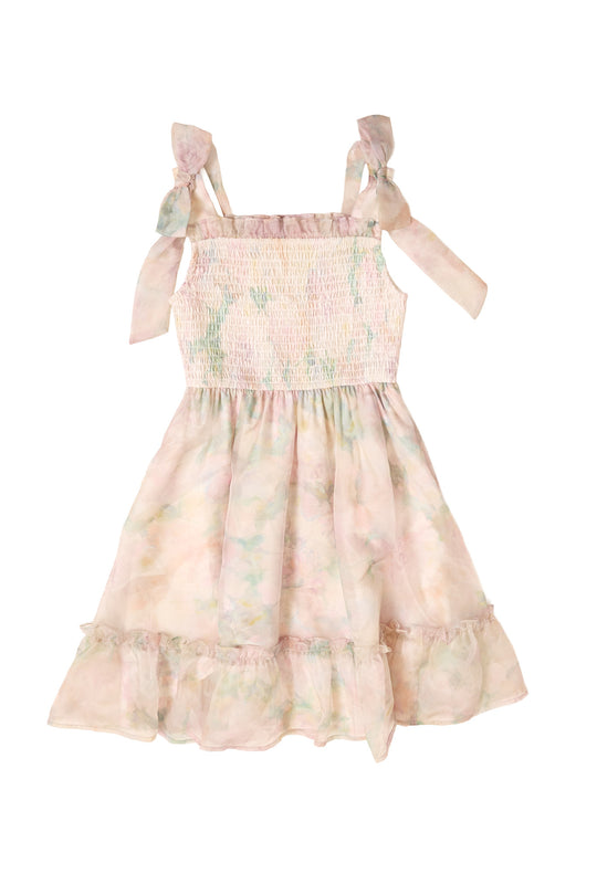Mini Rhiannon Dress in Painted Bloom