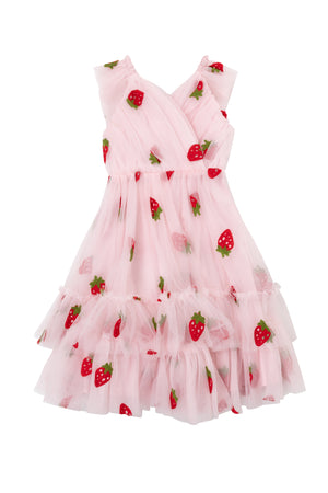 Mini Marin Dress in Strawberry Shortcake