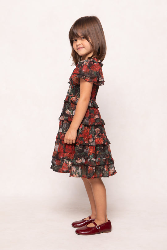 Young girl wearing a red and black patterned dress on a white background