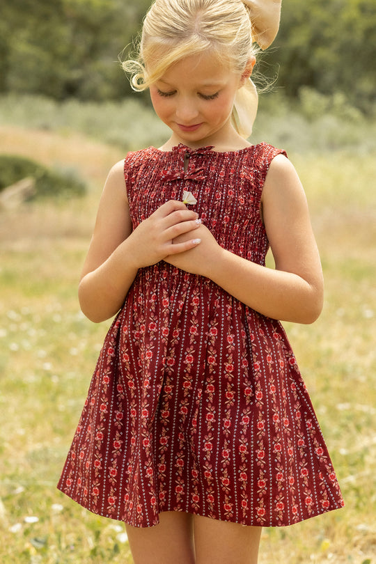 Mini Ana Dress in Sequoia Felicity Floral
