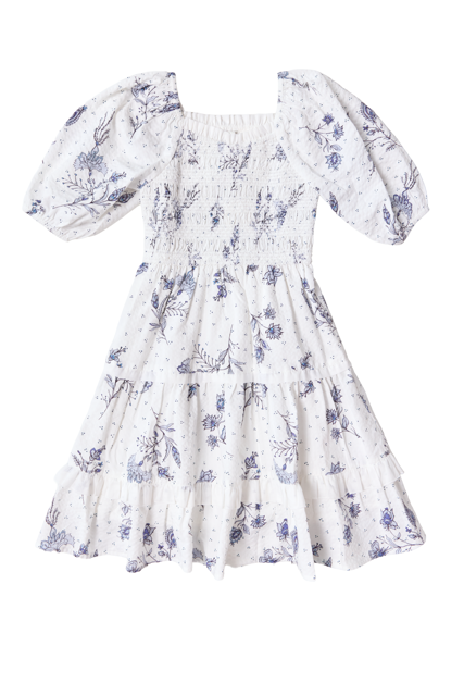 Mini Roselyn Dress in Blue Enchanted Floral – Ivy City Co