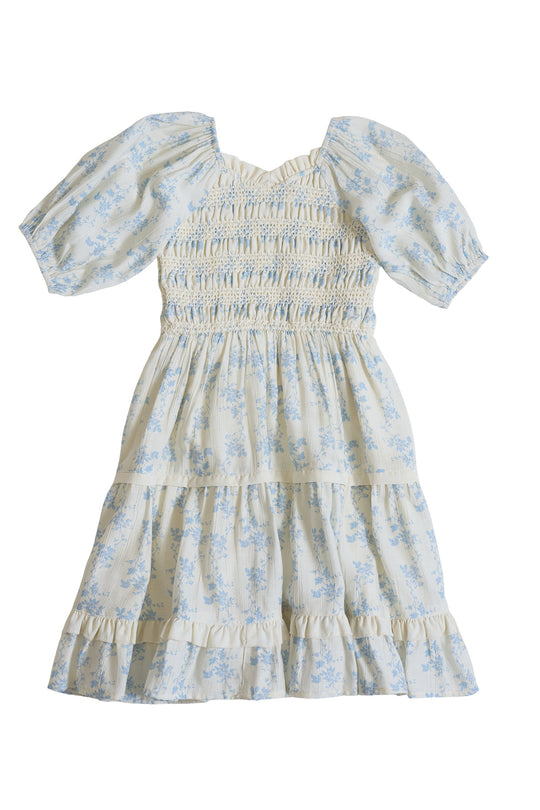 Mini Roselyn Dress in Ivory Porcelain Fleur-9
