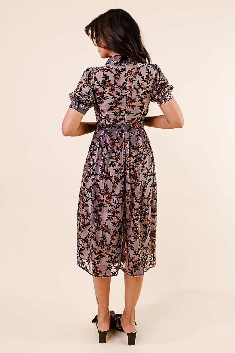 Delaney Dress in Black