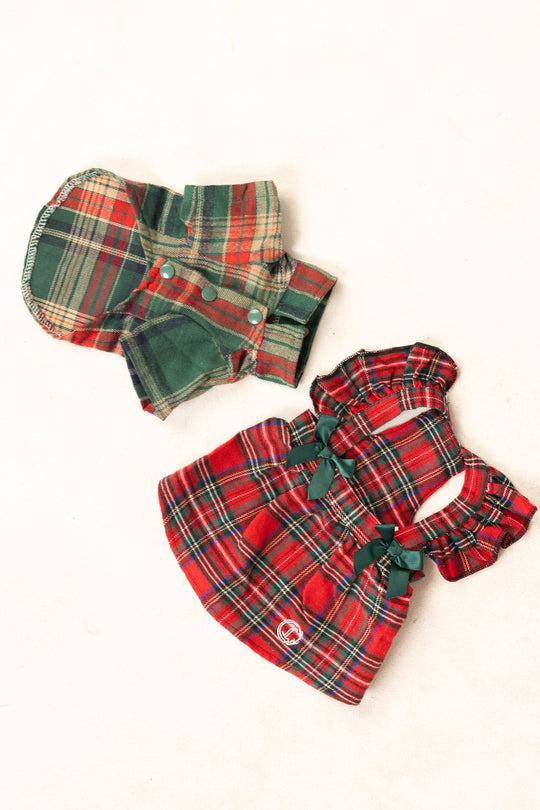 Red dog dress and green dog shirt against a white background