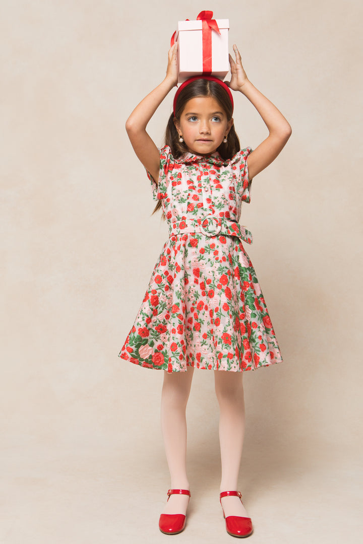 Mini Remi Dress in Red Floral