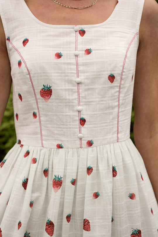 Sadie Dress in Strawberry Vintage Tier XL