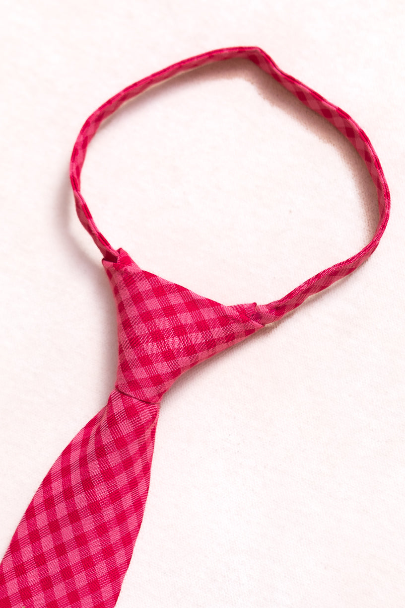 Ties in Hailey Pink Gingham