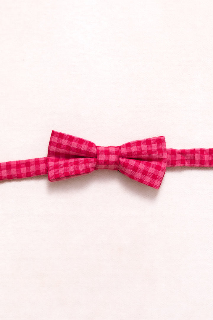 Ties in Hailey Pink Gingham