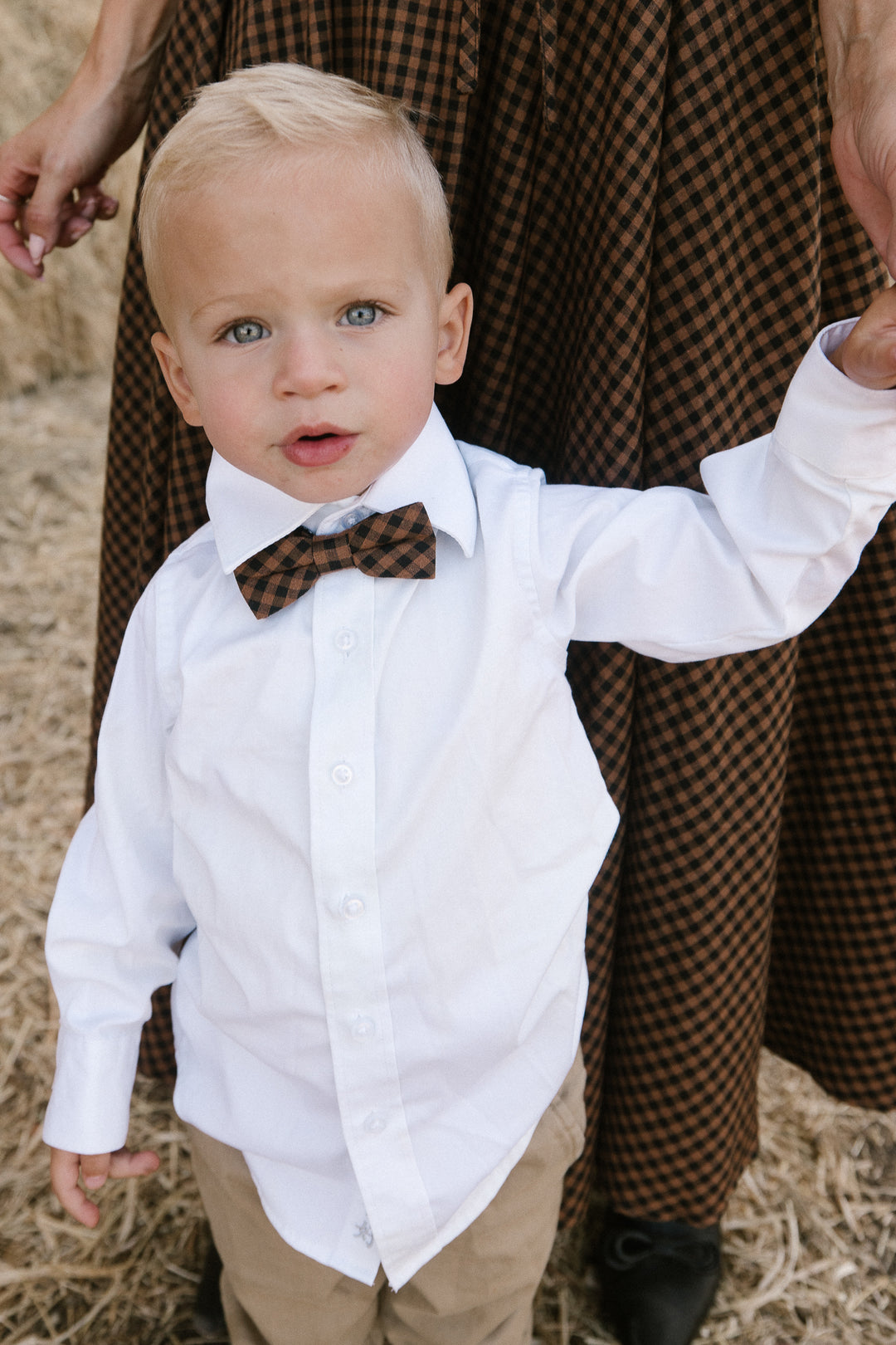 Baby Boys Henry Bow Tie in Maple Brown Gingham