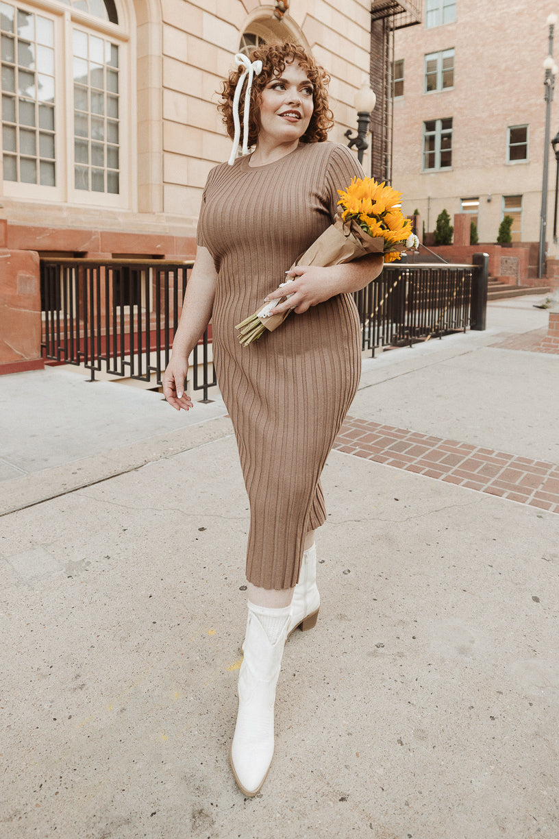 Alexa Dress in Taupe