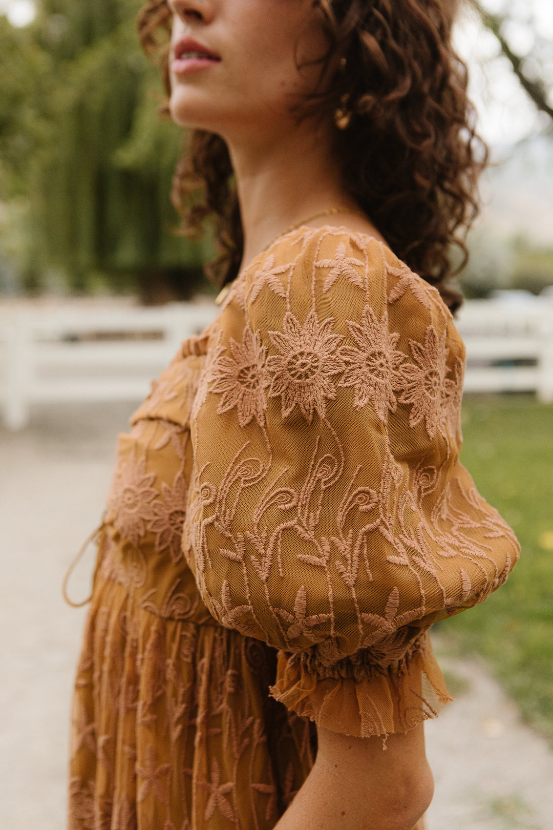 Honey Dress in Brown Lace