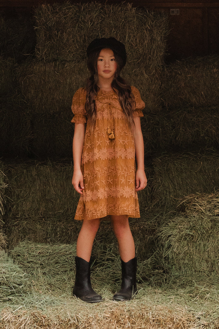 Mini Honey Dress in Brown Lace